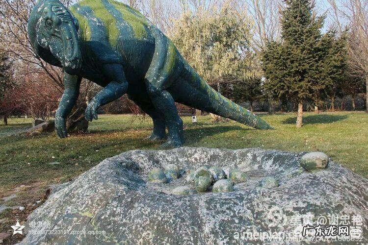 俗话说瑞雪兆丰年,好像不下雪,年味也会少许多,快过年了你那里下雪了?