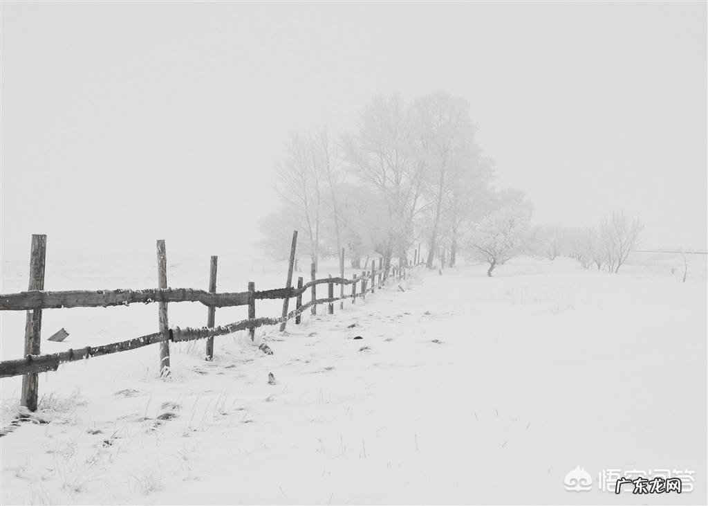 俗话说瑞雪兆丰年,好像不下雪,年味也会少许多,快过年了你那里下雪了?