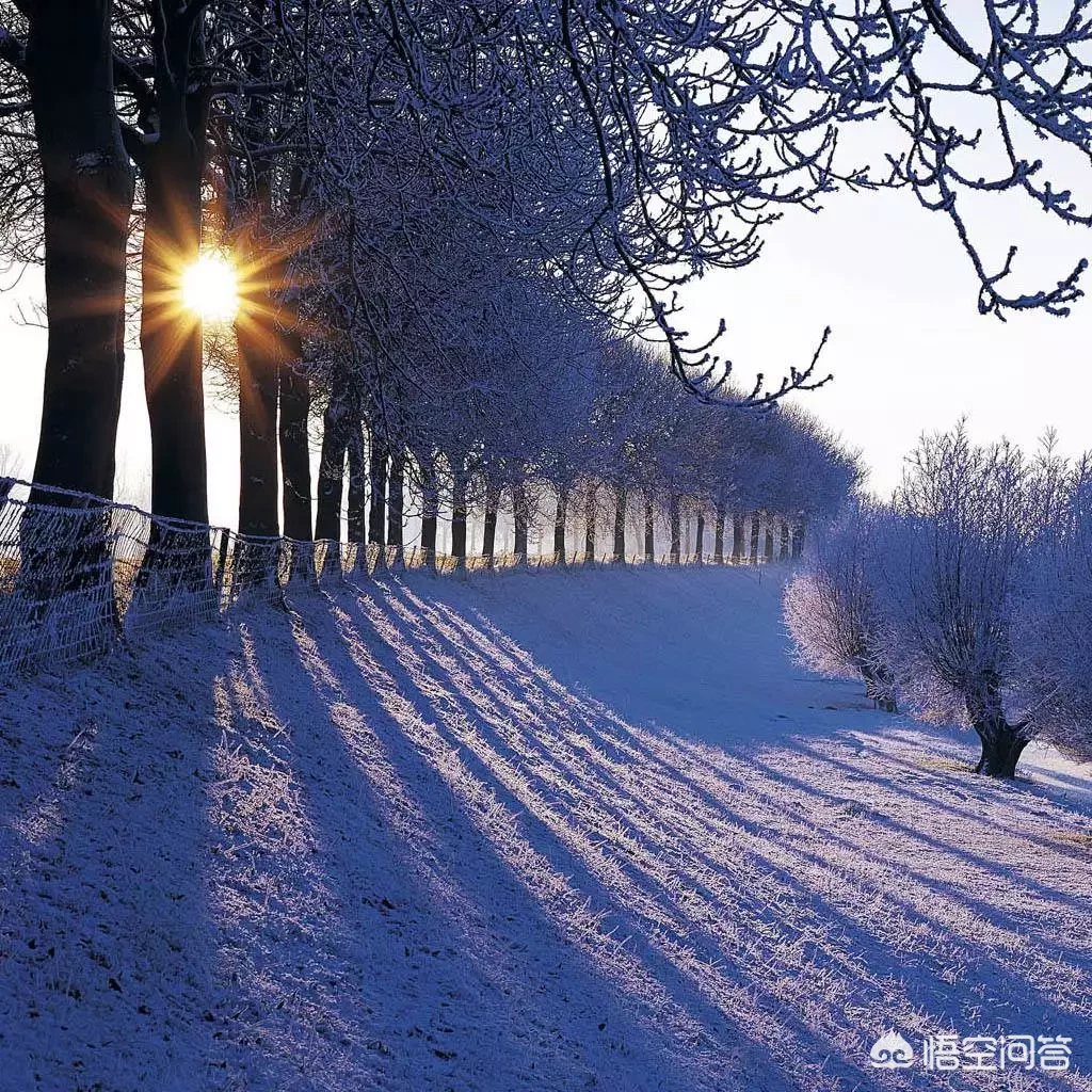 俗话说瑞雪兆丰年,好像不下雪,年味也会少许多,快过年了你那里下雪了?