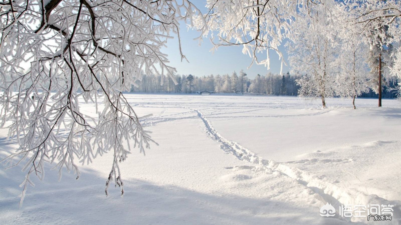 俗话说瑞雪兆丰年,好像不下雪,年味也会少许多,快过年了你那里下雪了?