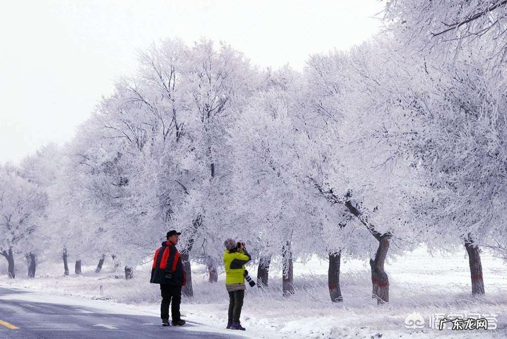 俗话说瑞雪兆丰年,好像不下雪,年味也会少许多,快过年了你那里下雪了?