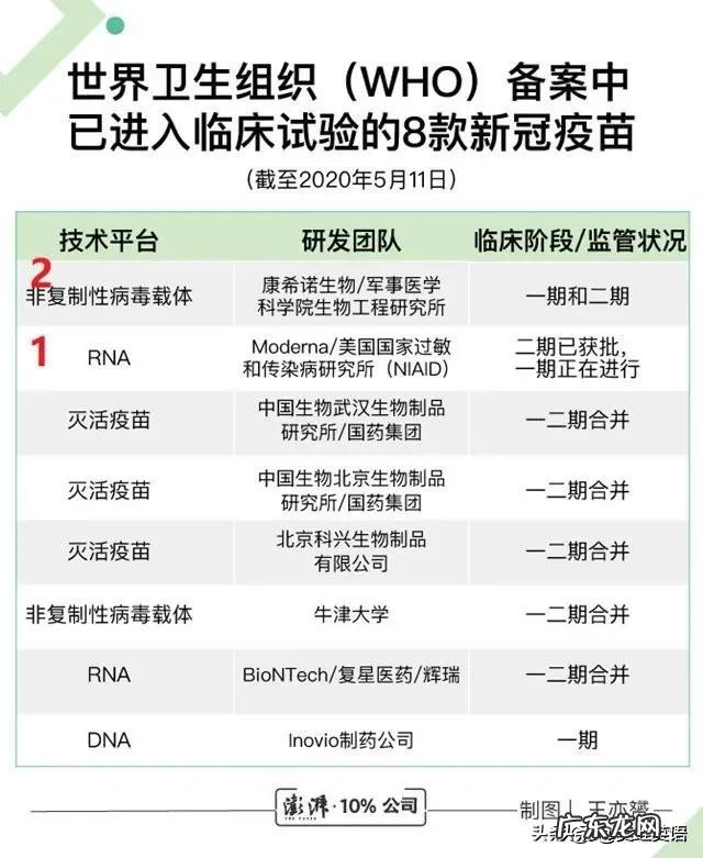 世卫组织：疫苗研发不能跳过环节，如何看美国研发的疫苗？