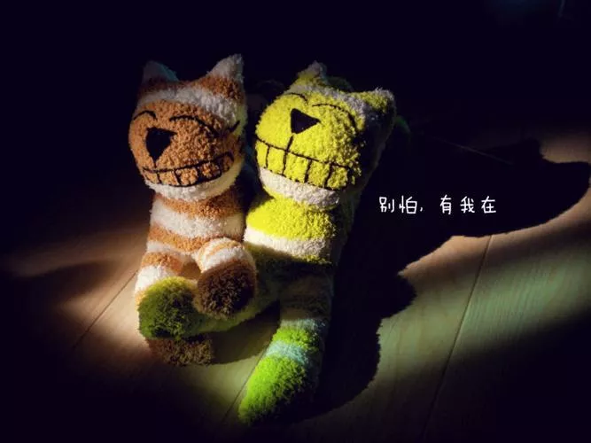 世界上最动人的情话,不是“我爱你”,那是什么话?