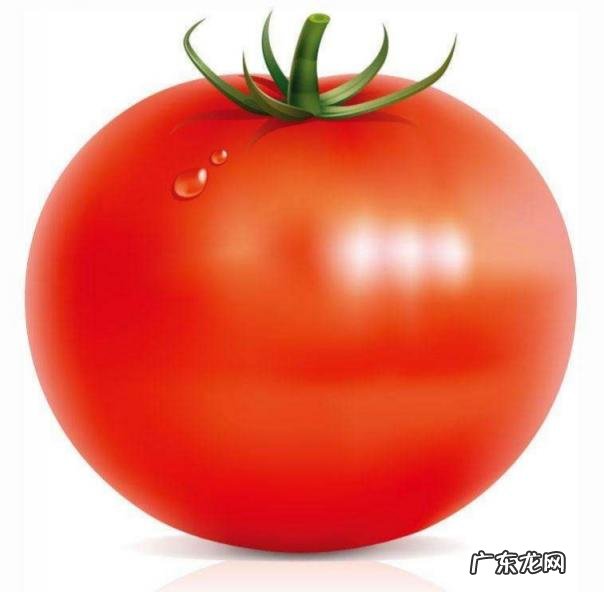特别爱吃西红柿的原因是什么呢 为什么很多人不喜欢吃西红柿