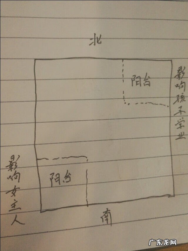 露台能种菜吗 阳台种菜影响风水吗