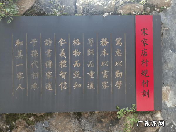 千年樟树王 千年古樟树图片