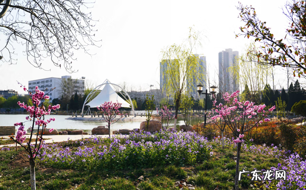 新乡医学院官网入口 新乡医学院主页在哪