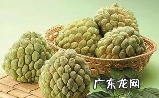 水果释迦摩尼果怎么吃 释迦果有什么营养价值