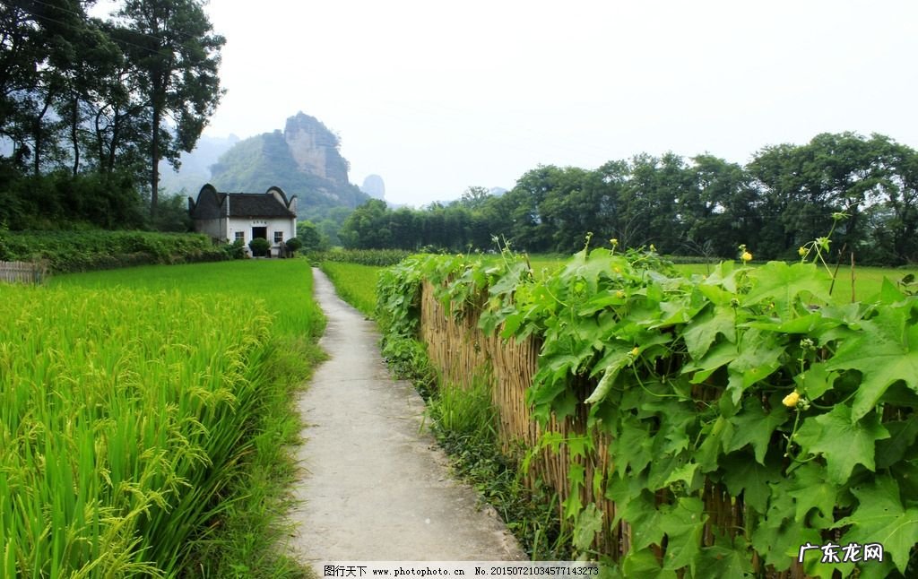你在农村走夜路的时候,遇到过哪些可怕的事情?