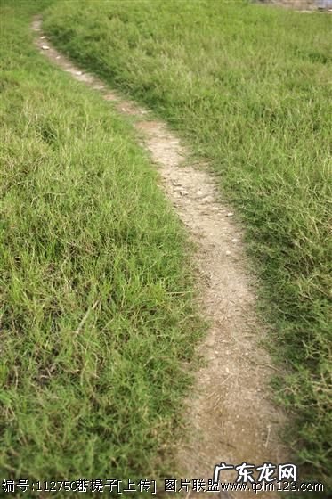 你在农村走夜路的时候,遇到过哪些可怕的事情?