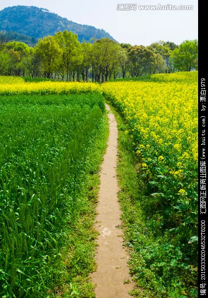 你在农村走夜路的时候,遇到过哪些可怕的事情?