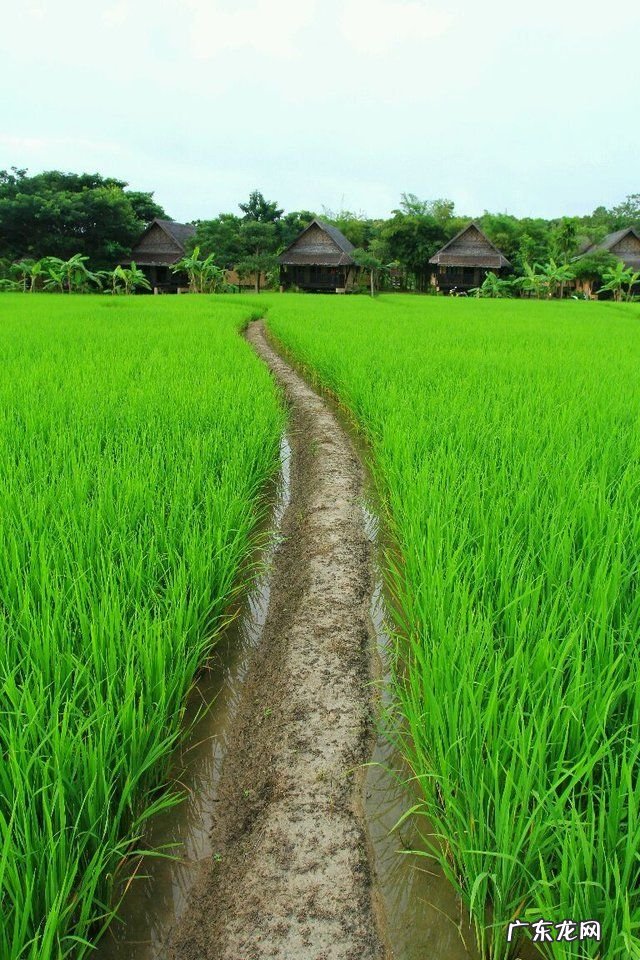 你在农村走夜路的时候,遇到过哪些可怕的事情?