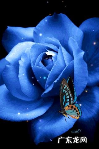 到底怎样才算是谈恋爱?