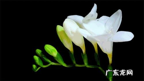 到底怎样才算是谈恋爱?