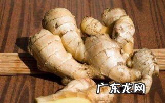生姜要怎么保存才不会烂掉 生姜怎样保存才不会烂掉皮