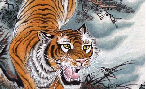 十二生肖中生肖老虎有钱了会做什么?