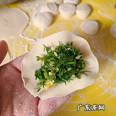 茴香苗的功效与吃法 茴香苗图片