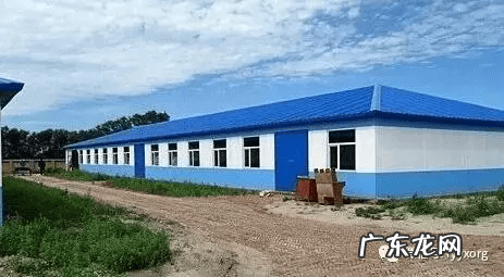 生猪养殖户有多少 养殖场的风水布局