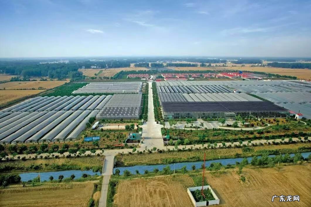 生猪养殖户有多少 养殖场的风水布局