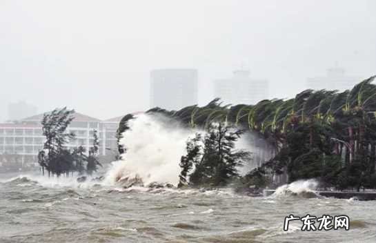 2020年8月的台风 2022年8月有台风吗冬天