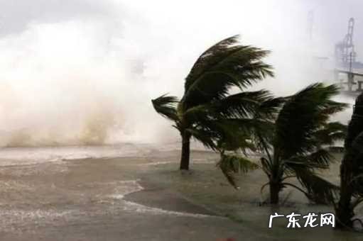 2020年8月的台风 2022年8月有台风吗冬天