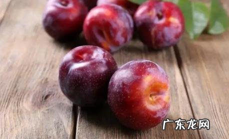 吃柿子的注意事项 李子空心有棕色结晶是什么