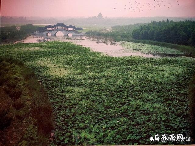 “人只要活得高兴,穷也不怕。”余华这话有道理吗?