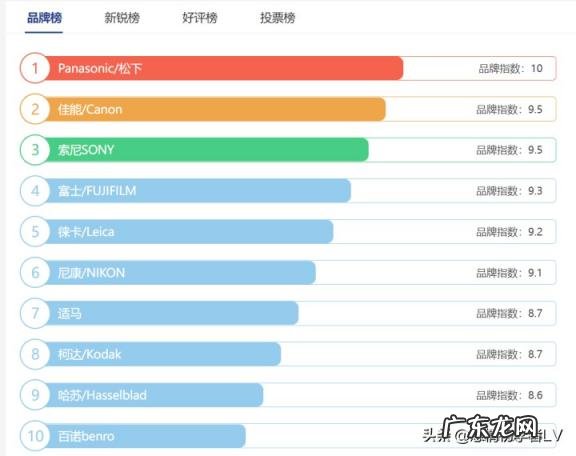 单反品牌有哪些牌子 2021年微单相机排行榜十强