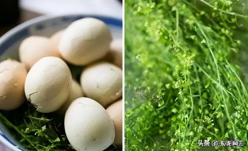 上巳节的由来和风俗50字 我国最浪漫的节日是什么节