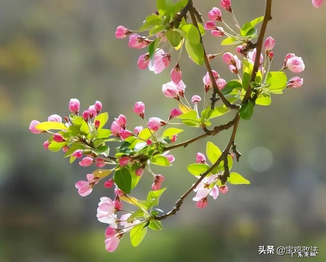 上巳节的由来和风俗50字 我国最浪漫的节日是什么节