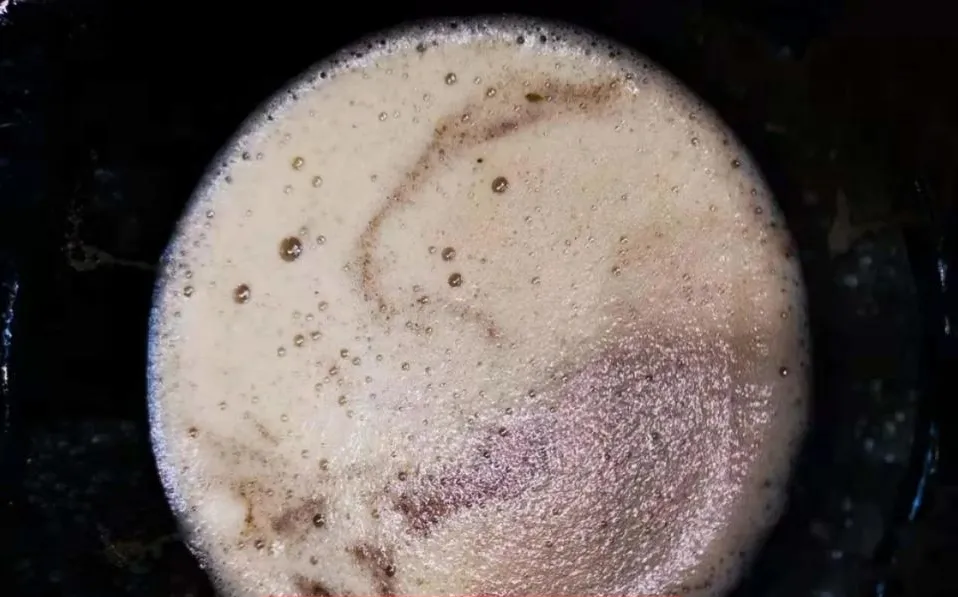 养生和保健一样吗?