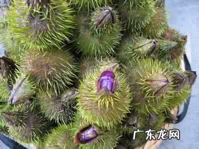 南京人为什么爱吃鸡头果?这都怎么吃啊?