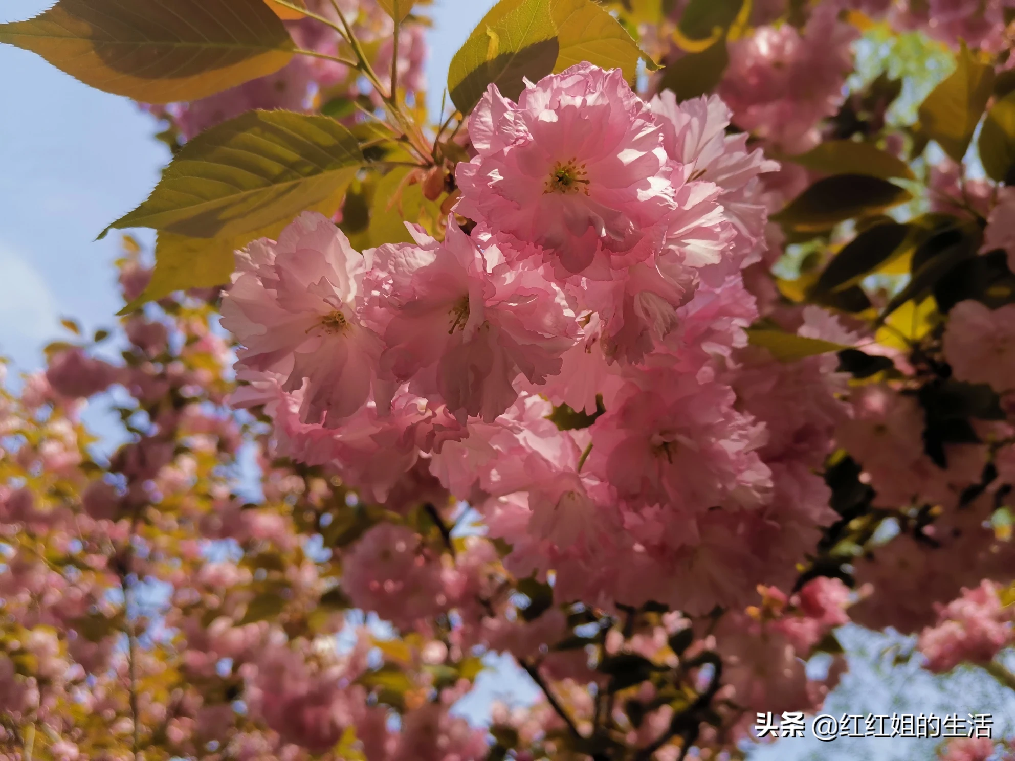 在你心里，你认为最浪漫的事情是做什么，为什么？