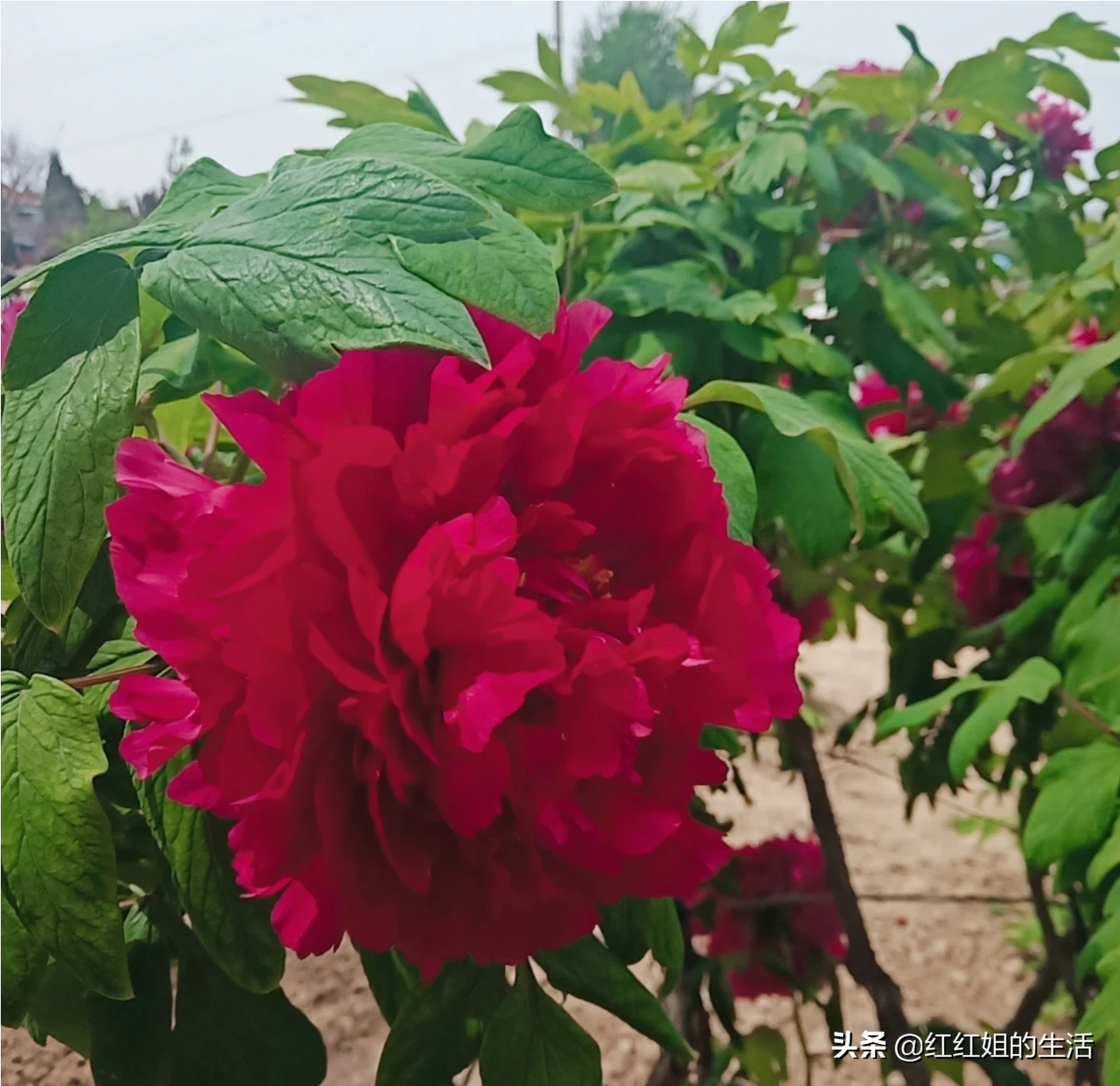 在你心里，你认为最浪漫的事情是做什么，为什么？