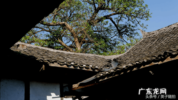 好风水宝地的明显特征 渠县风水宝地
