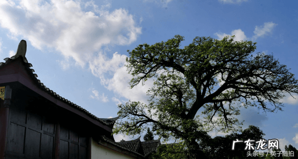 好风水宝地的明显特征 渠县风水宝地