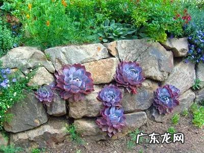 广东云浮石牙山隧道 石牙山风水如何看朝向