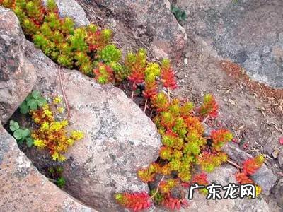 广东云浮石牙山隧道 石牙山风水如何看朝向