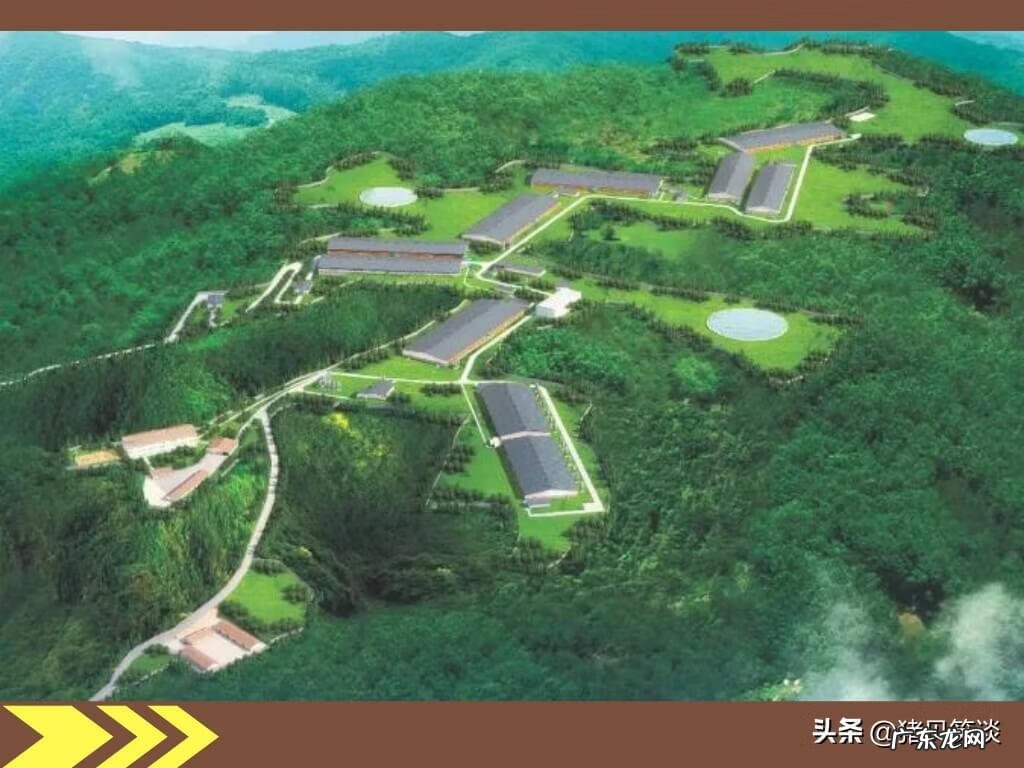 猪舍怎么建便宜好用图 建猪舍风水地理