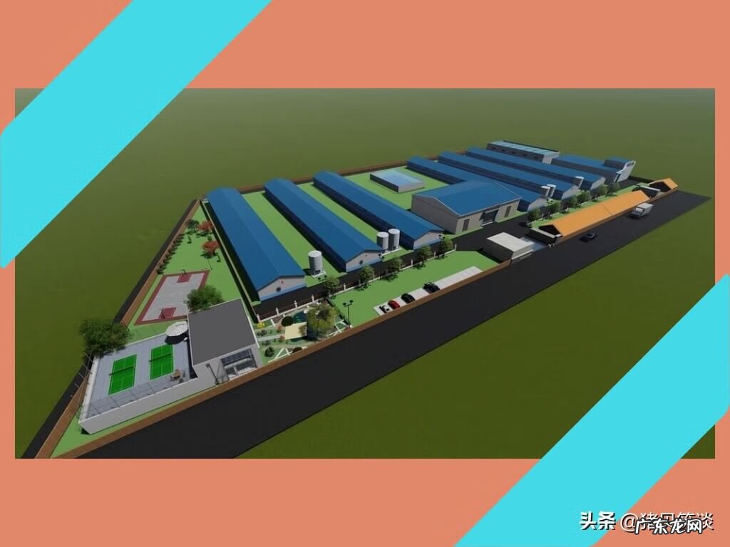 猪舍怎么建便宜好用图 建猪舍风水地理