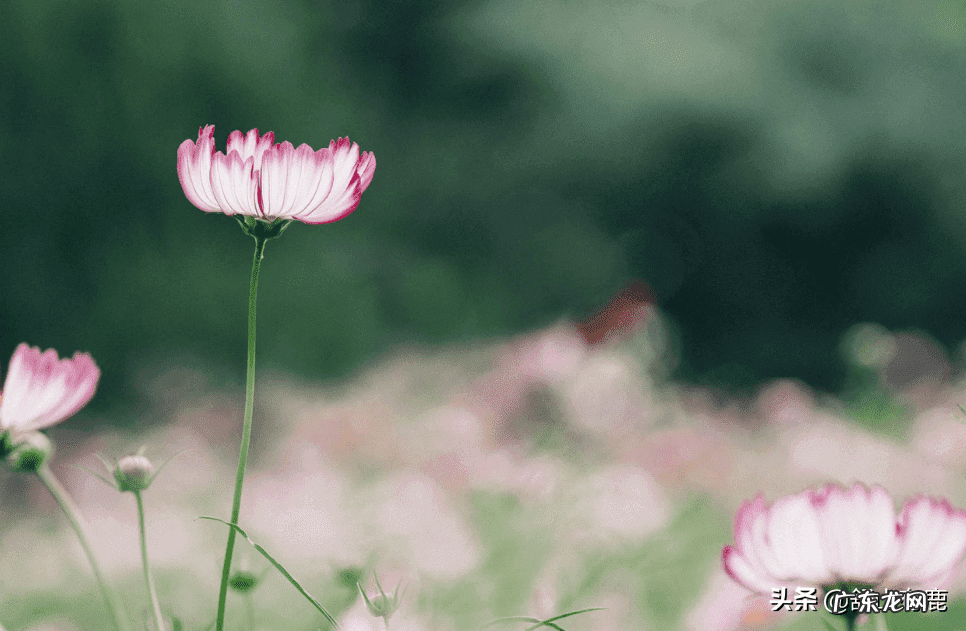 风水轮流转意思 梦见自己说风水轮流转