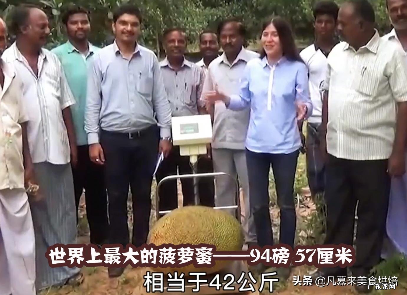 世界上最大的苹果图片大全 世界公认十大水果