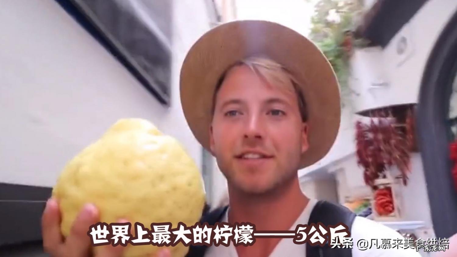 世界上最大的苹果图片大全 世界公认十大水果