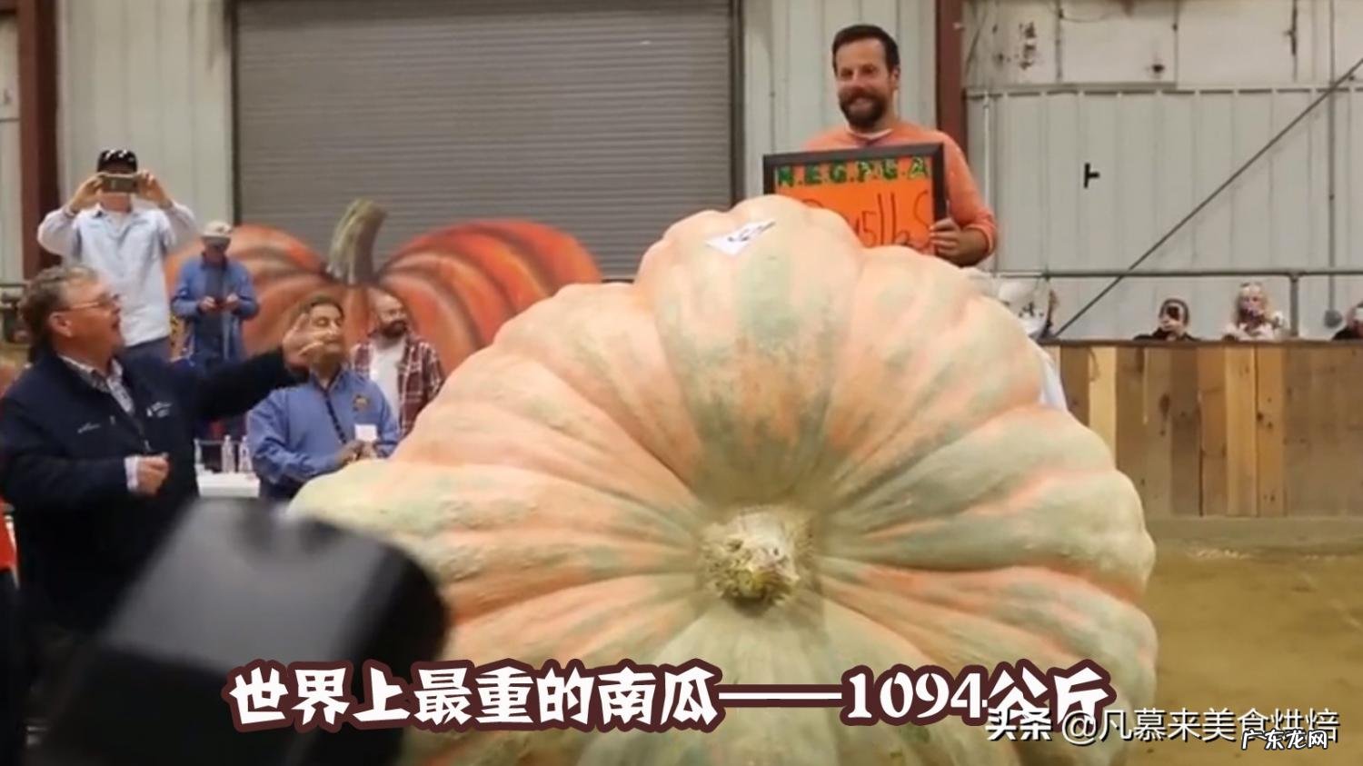 世界上最大的苹果图片大全 世界公认十大水果