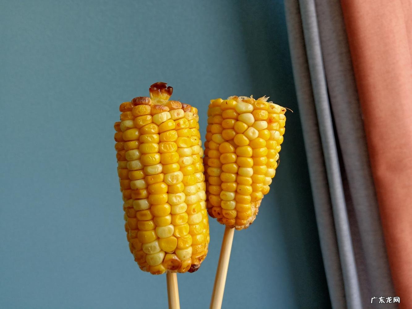空气炸锅炸玉米怎么做 空气炸锅能烤玉米吗