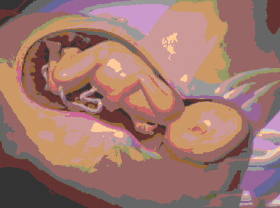 正常分娩的过程 女人分娩的过程