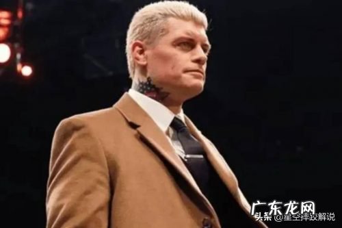 wwe年薪最高的选手,最富有的十大摔跤运动员是谁