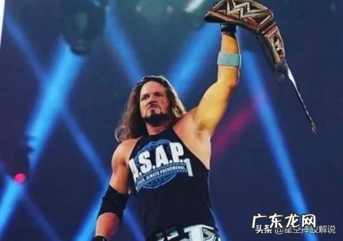 wwe年薪最高的选手,最富有的十大摔跤运动员是谁