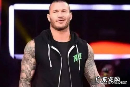 wwe年薪最高的选手,最富有的十大摔跤运动员是谁