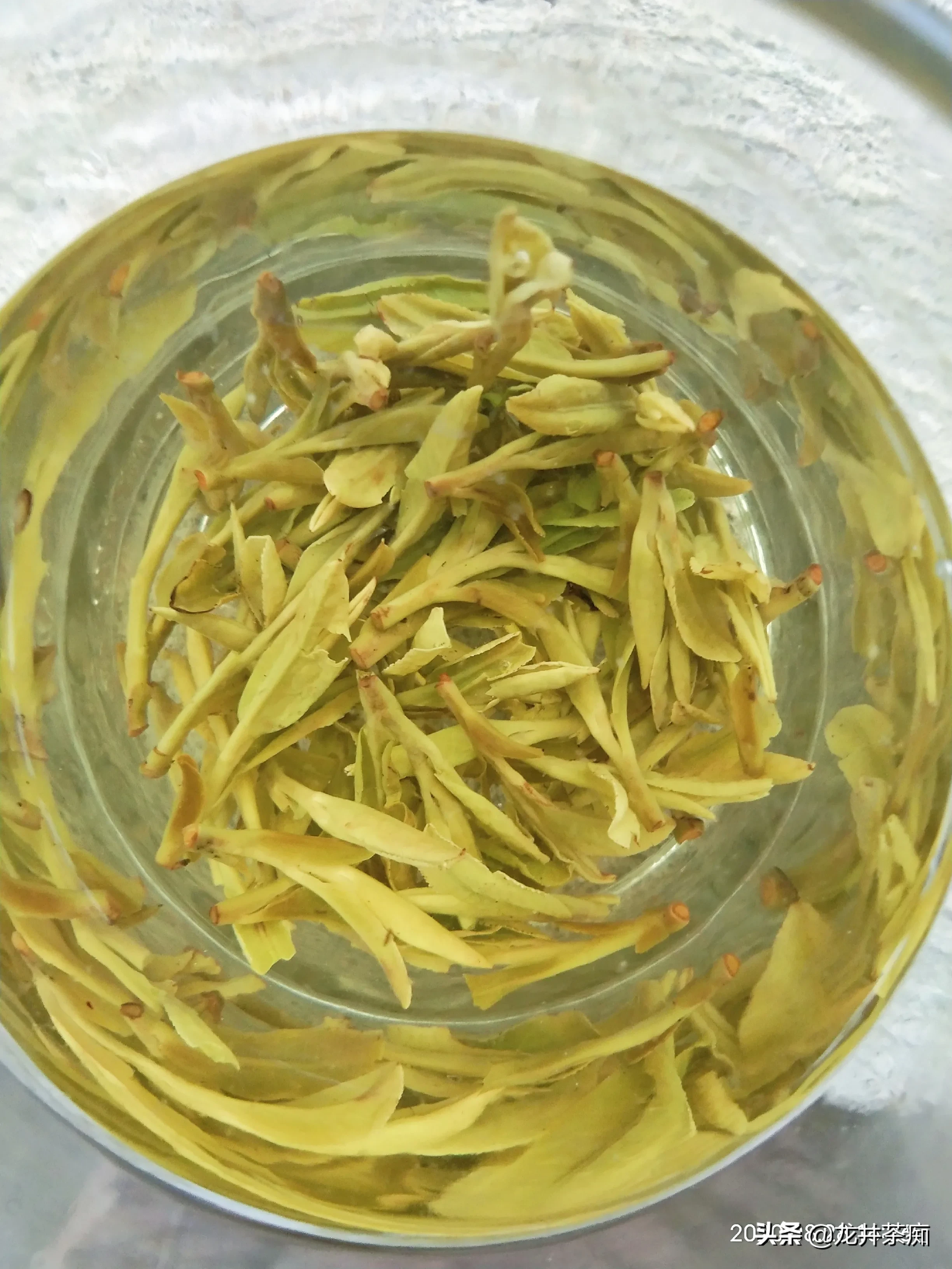 大家平时喝茶吗？喝茶有讲究吗？